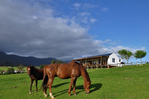 Mysthill Farm (24)