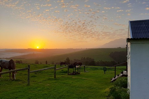 Mysthill Farm (27)