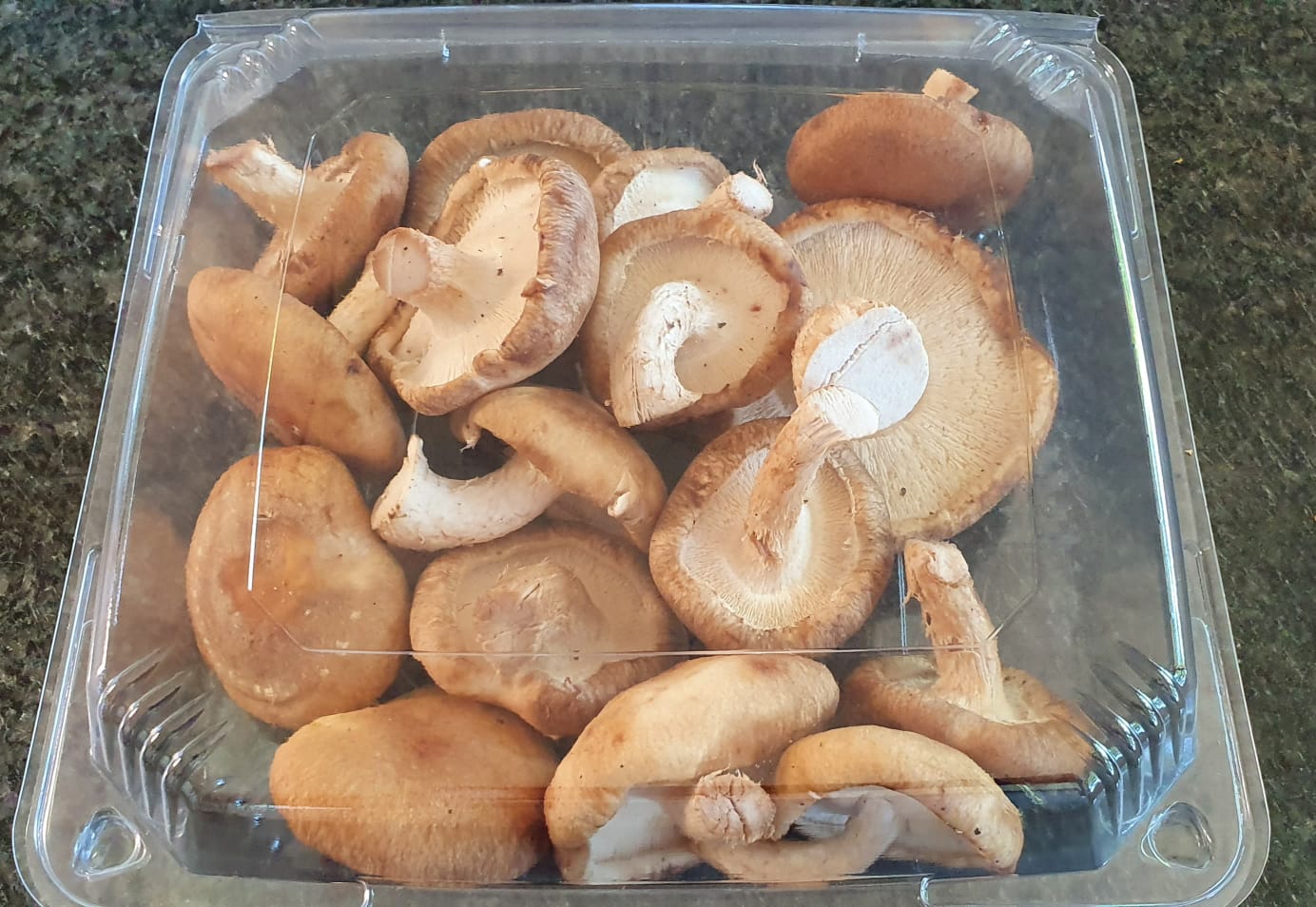 Shiitake Mushrooms 150gm Mysthill Farm